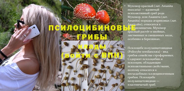 ешки Алексеевка