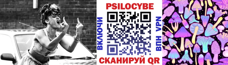 Галлюциногенные грибы Magic Shrooms  купить закладку  Динская 